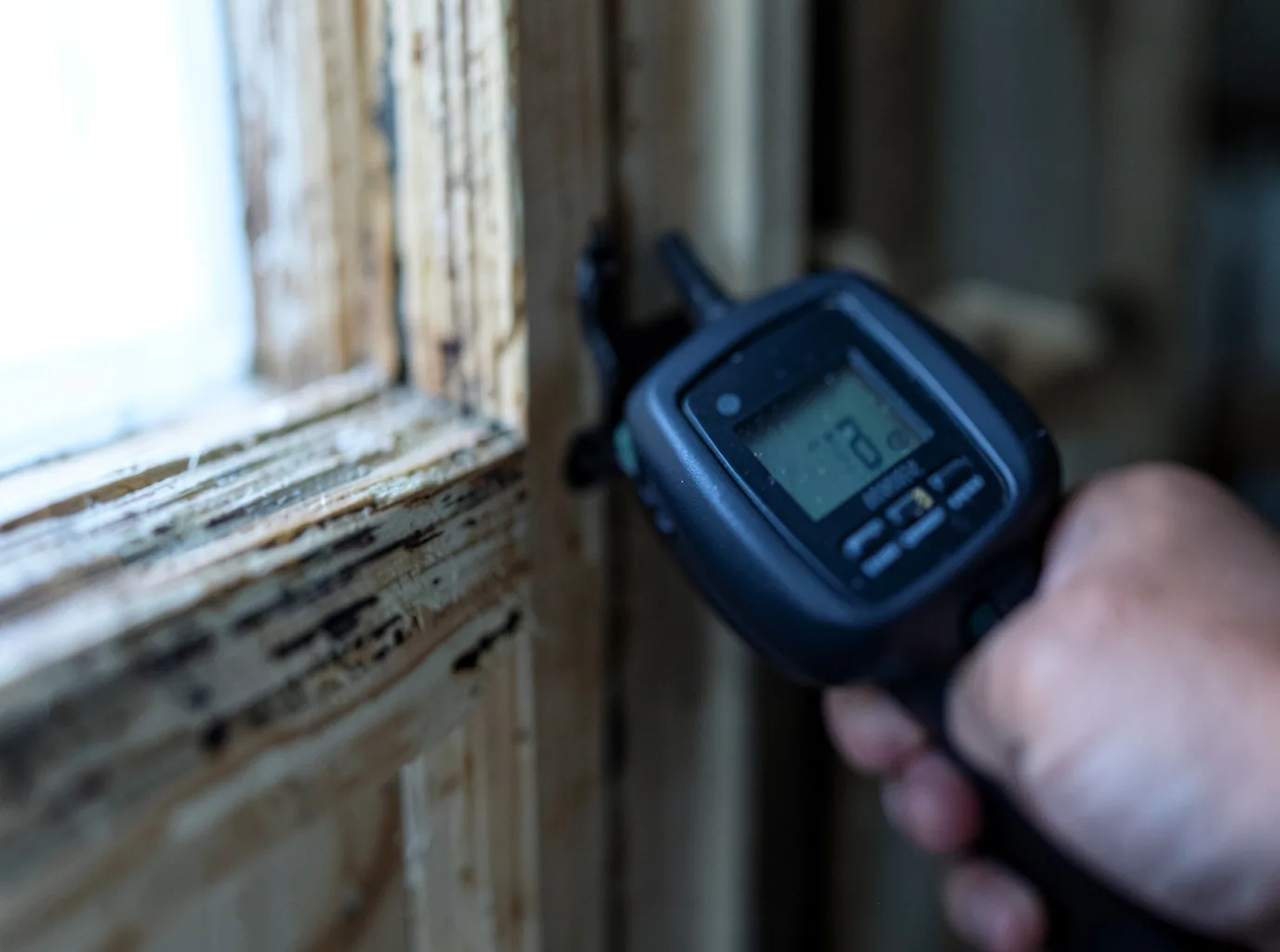 Moisture Inspection And Documentation in Dysart, IA
